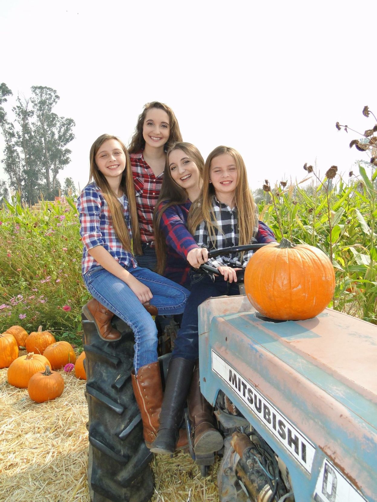 Picking Pumpkins 2017